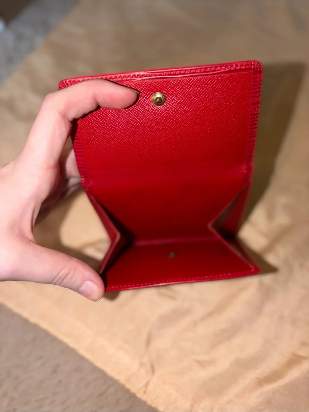 Louis Vuitton classic louis